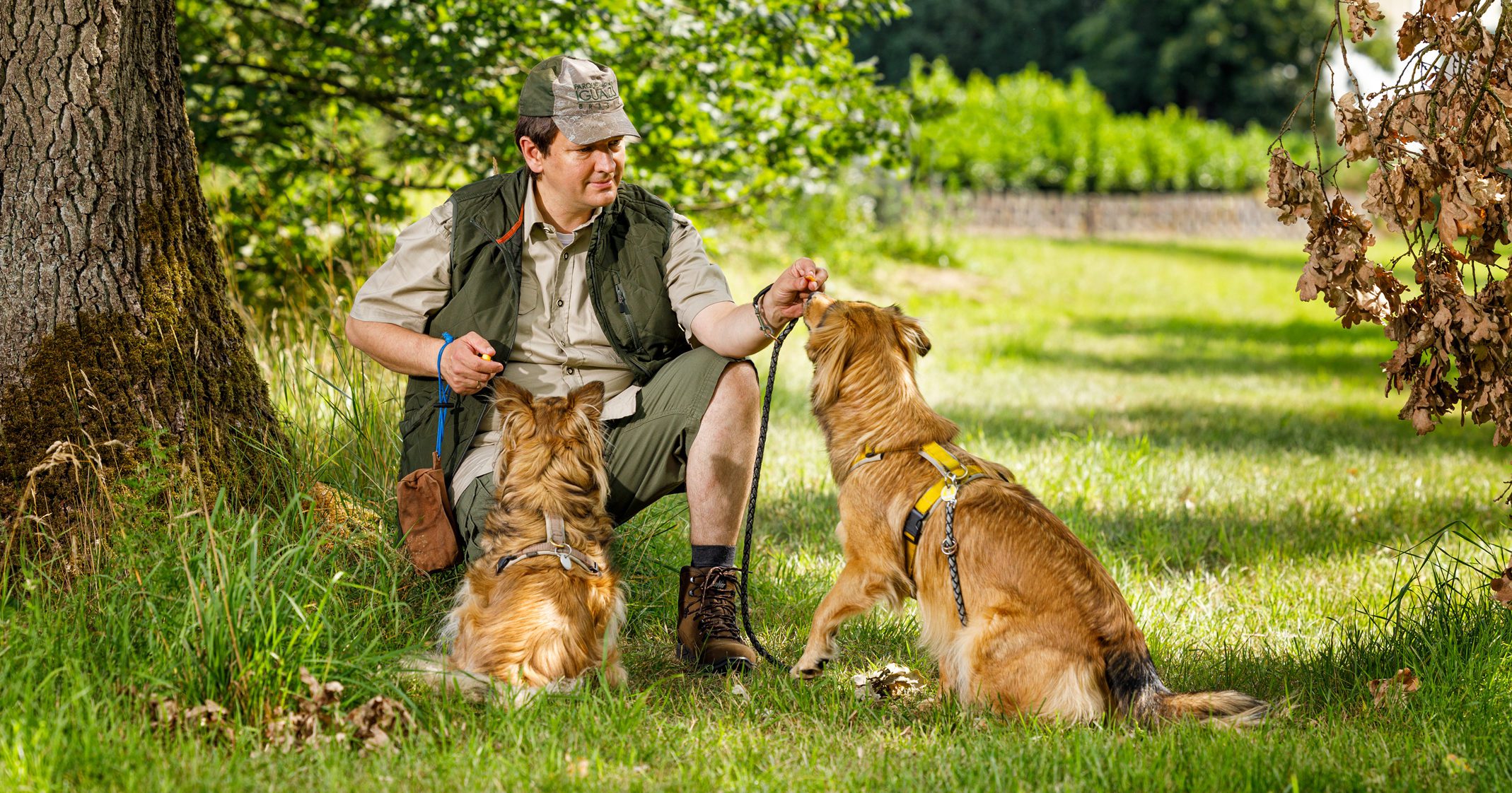 In Hamburg gibt es viele Möglichkeiten für Hundetraining, aber die Hundeschule Reinbek sticht heraus.