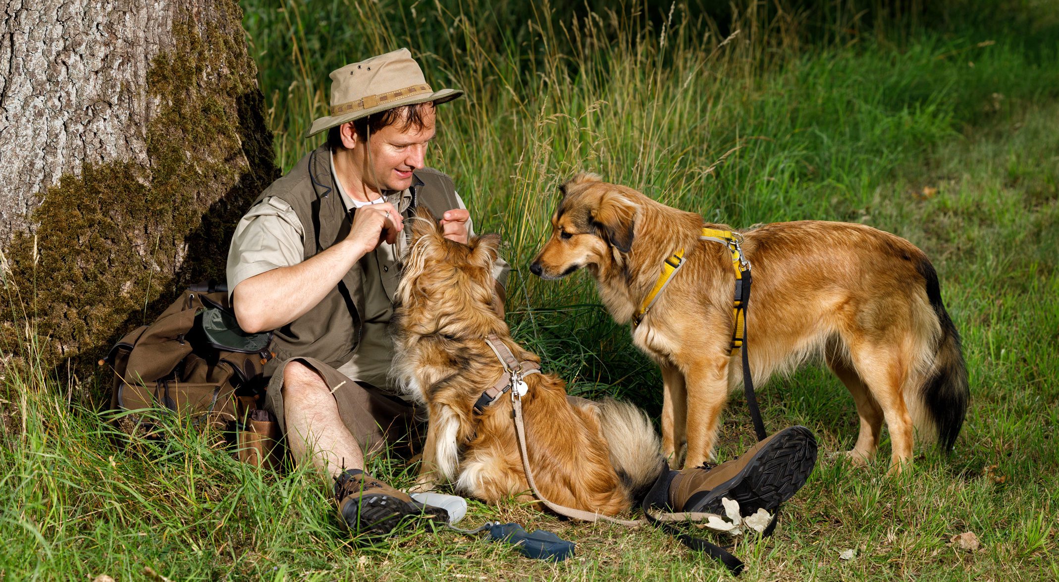 Das Hundetraining Bergedorf ist bekannt für seine positiven Trainingsmethoden.
