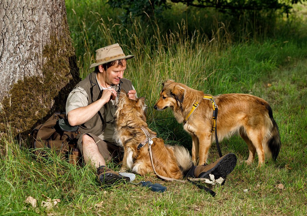 Die Hundeschule Hamburg bietet professionelles Hundetraining in Hamburg an.