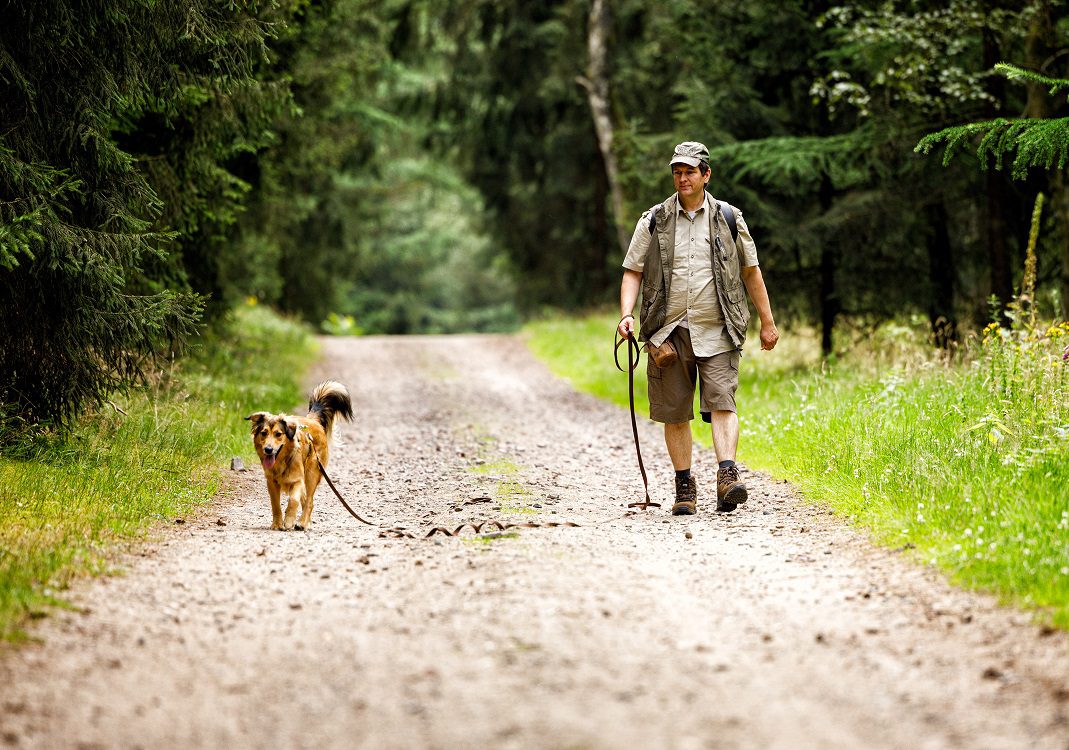 Das Hundetraining Reinbek bietet Kurse für Anfänger und Fortgeschrittene an.