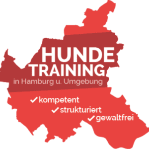 Die Hundeschule Bergedorf legt großen Wert auf artgerechte Erziehung.