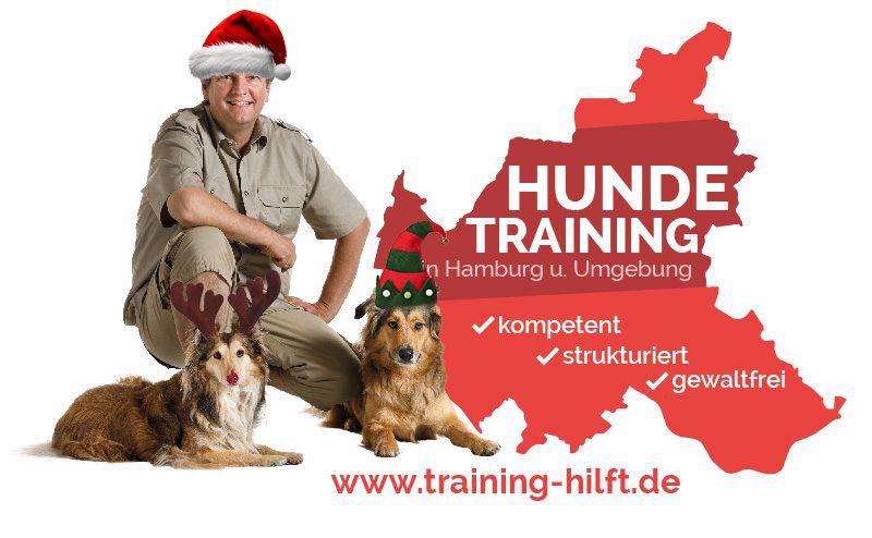 Hundetraining in Hamburg Bergedorf