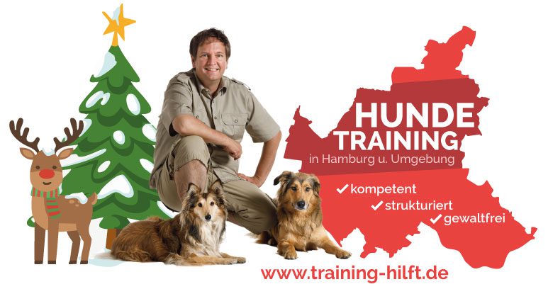 Hundetraining in Hamburg Bergedorf